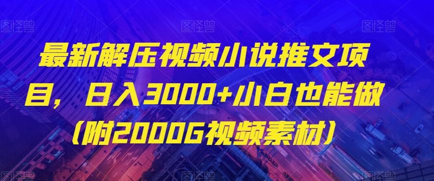 最新解压视频小说推文项目，日入3000+小白也能做（附2000G视频素材）【揭秘】-云创网