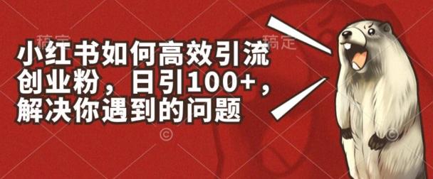 小红书如何高效引流创业粉，日引100+，解决你遇到的问题【揭秘】-云创网