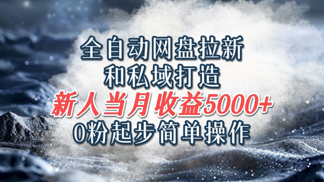 全自动网盘拉新和私域打造，0粉起步简单操作，新人入门当月收益5000以上-云创网
