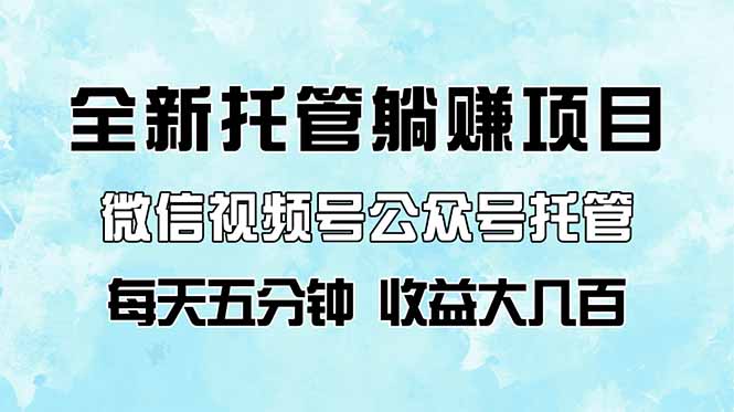 全新托管躺赚项目，微信视频号公众号托管代运营，每天五分钟，收益大几百-云创网
