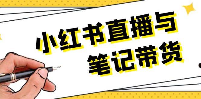小红书直播与笔记带货：选品、上架、笔记写作、视频剪辑及直播话术等-云创网