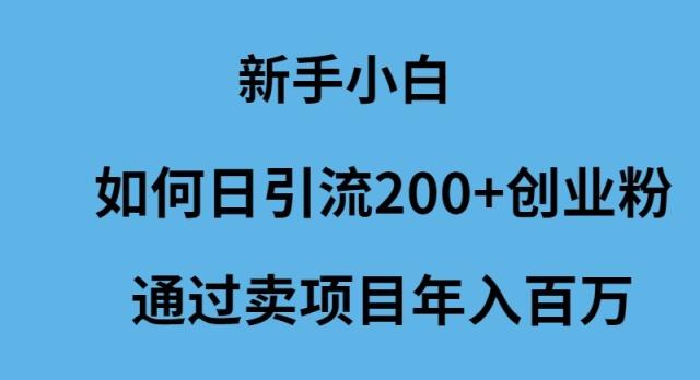 (9668期)新手小白如何日引流200+创业粉通过卖项目年入百万-云创网