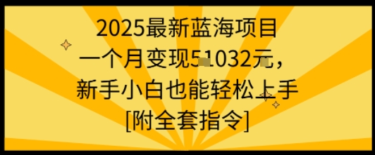 2025最新蓝海项目一个月变现1w+新手小白也能轻松上手【附全套指令】-云创网