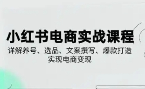 小红书从0-1实操课(2023-2025)，详解养号、选品、文案撰写、爆款打造实现电商变现-云创网