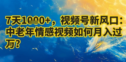 7天收益1k+，视频号新风口：中老年情感视频如何月入过W?-云创网