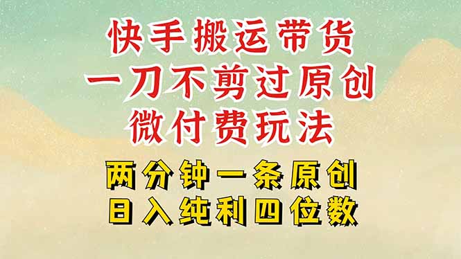 快手黑科技搬运带货，一刀不剪过原创，微付费投流玩法，轻松日入四位数…-云创网