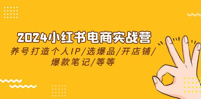 2024小红书电商实战营，养号打造IP/选爆品/开店铺/爆款笔记/等等(24节)-云创网