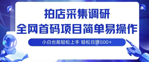拍店采集调研，全网首码项目，简单易操作， 小白也能轻松上手，多账号操作，轻松日入5张【揭秘】-云创网