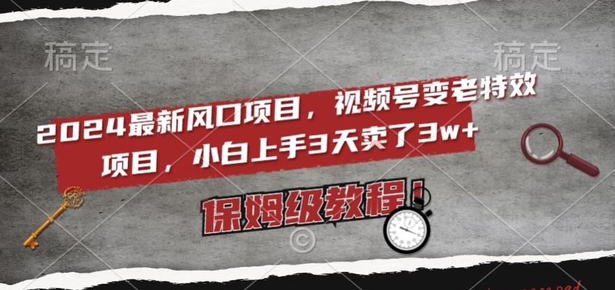 2024最新风口项目，视频号变老特效项目，电脑小白上手3天卖了3w+，保姆级教程【揭秘】-云创网