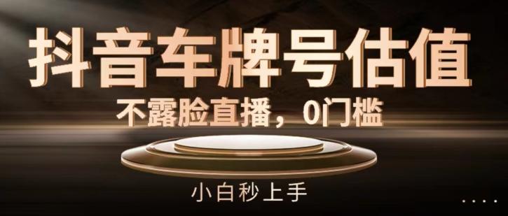 抖音车牌号估值，不露脸直播，0门槛，小白秒上手【揭秘】-云创网