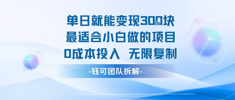 单日就能变现3张最适合小白做的项目0成本投入 无限复制-云创网