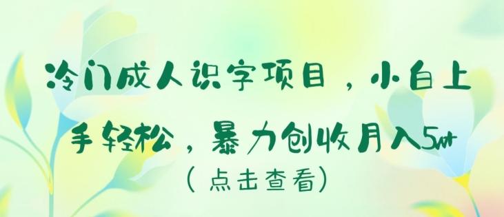 冷门成人识字项目，小白上手轻松，暴力创收月入5w+【揭秘】-云创网
