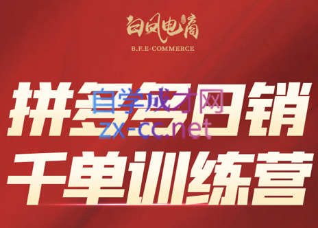 白凤电商·拼多多日销千单训练营(更新5月)-云创网