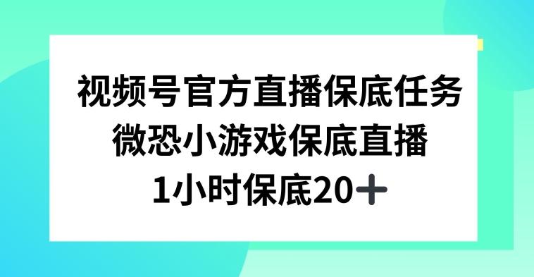 视频号直播任务，微恐小游戏，1小时20+【揭秘】-云创网