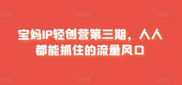 宝妈IP轻创营第三期，人人都能抓住的流量风口-云创网