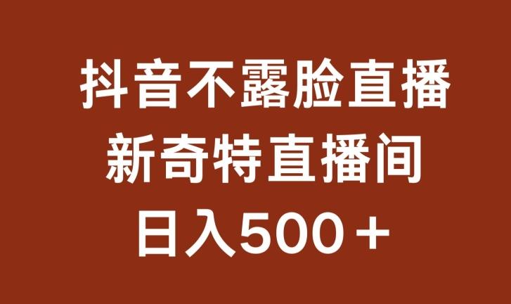 不露脸挂机直播，新奇特直播间，日入500+【揭秘】-云创网