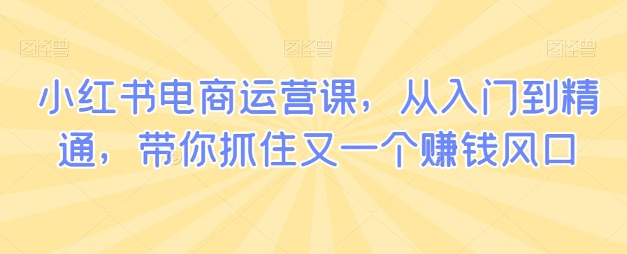 小红书电商运营课，从入门到精通，带你抓住又一个赚钱风口-云创网