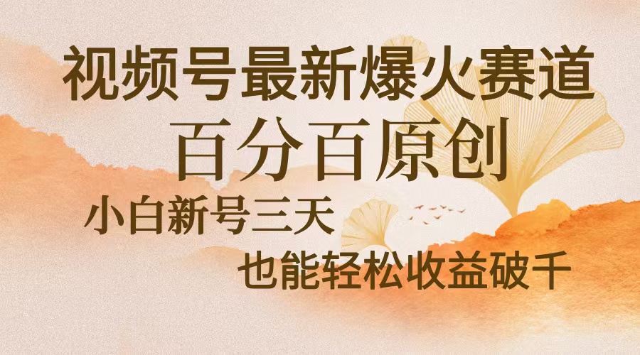 视频号最新爆火赛道，中老年粉深信不疑，百分百原创，新号三天收益轻松…-云创网