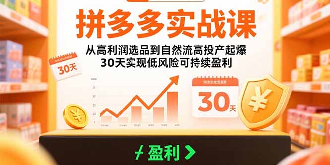 拼多多实战课：从高利润选品到自然流高投产起爆 30天实现低风险可持续盈利-云创网