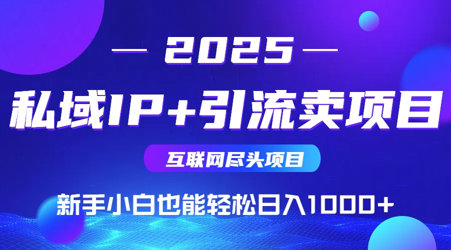 2025网创尽头项目，私域IP+引流，新手小白也能在家日入1000+-云创网