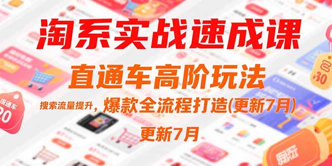 淘系实战速成课，直通车高阶玩法，搜索流量提升，爆款全流程打造(更新7月-云创网