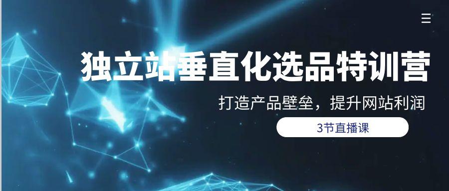 (9925期)独立站-垂直化选品训练营，打造产品壁垒，提升网站利润(3节直播课)-云创网