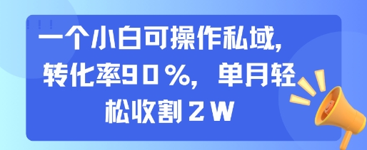一个小白可操作私域，转化率90%，单月轻松收割2W-云创网