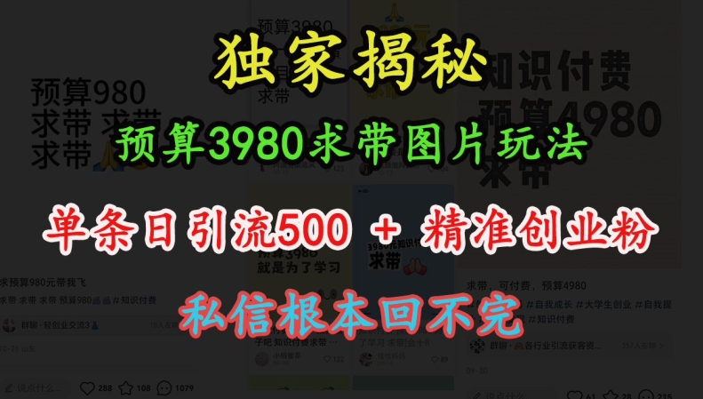 预算3980求带 图片玩法，单条日引流500+精准创业粉，私信根本回不完-云创网