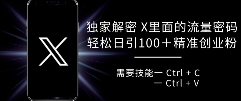 独家解密 X 里面的流量密码，复制粘贴轻松日引100+-云创网