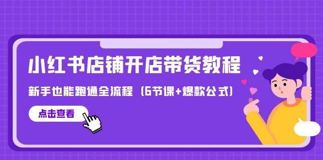 (9883期)最新小红书店铺开店带货教程，新手也能跑通全流程(6节课+爆款公式)-云创网