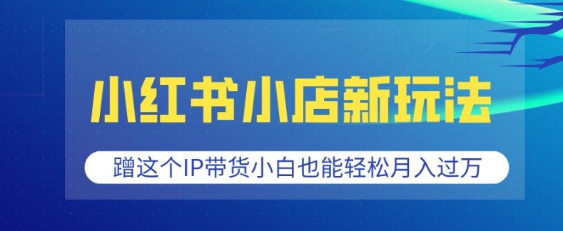小红书小店新玩法，蹭这个IP带货，小白也能轻松月入过W【揭秘】-云创网
