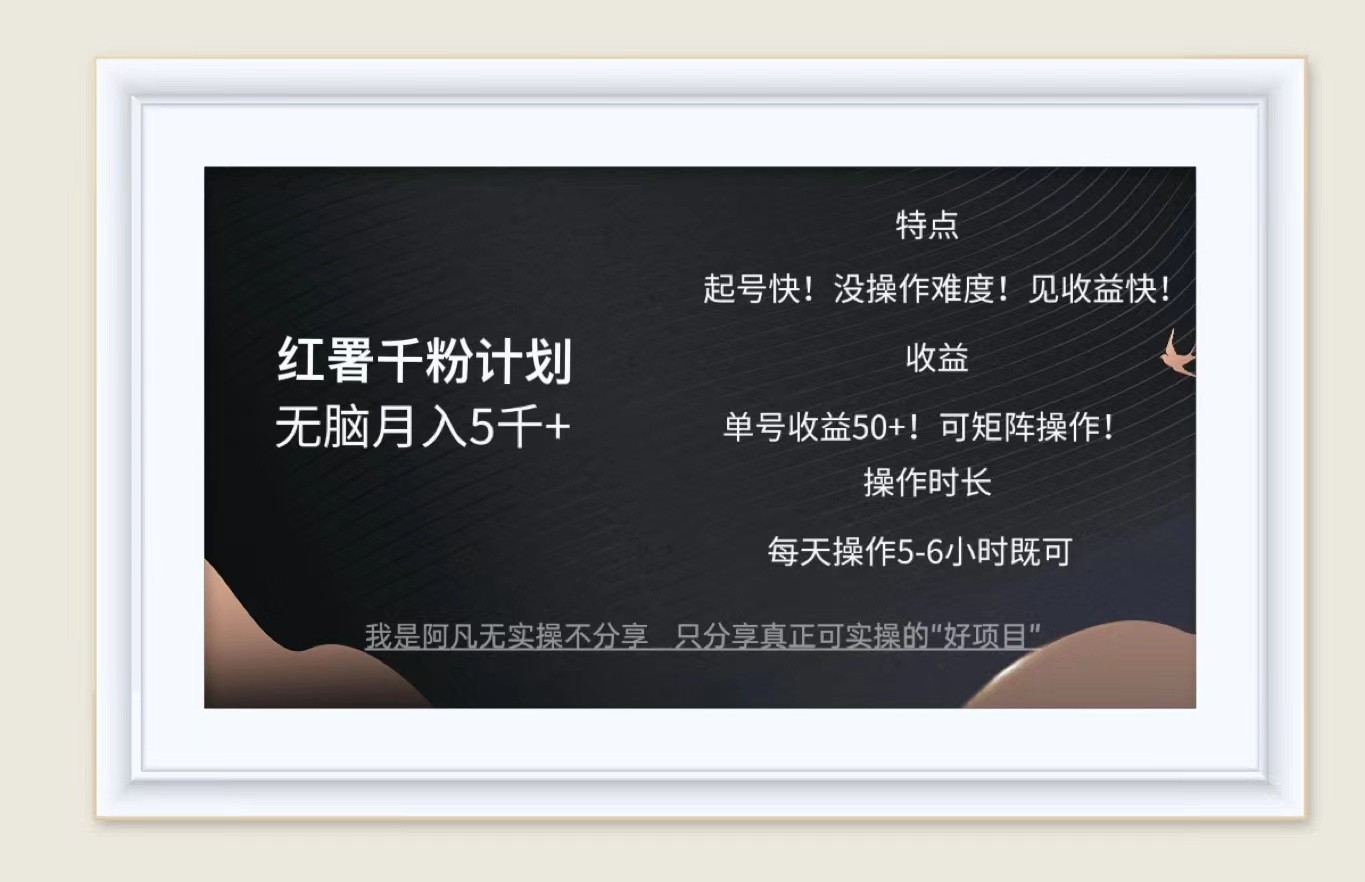 红薯千粉计划无脑月入5千+！既做既赚！-云创网