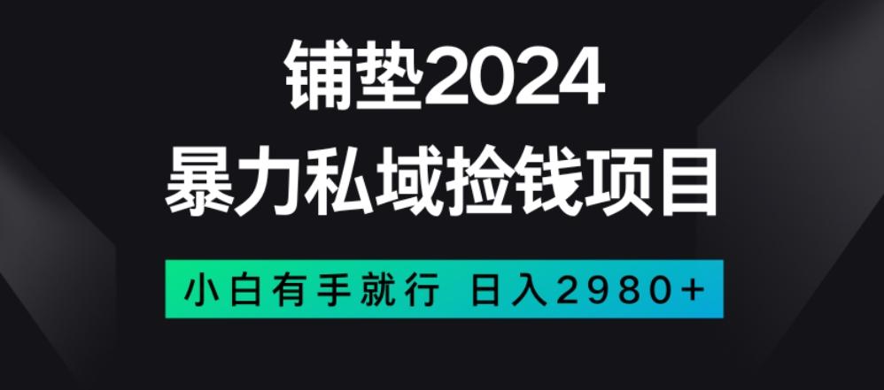 暴力私域捡钱项目，小白无脑操作，日入2980【揭秘】-云创网