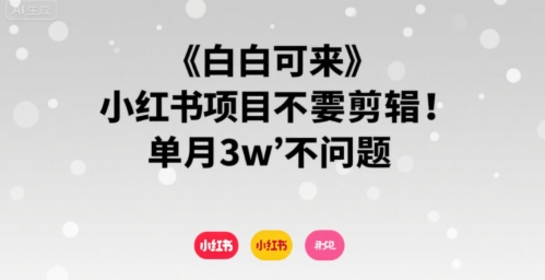 小白可来 小红书项目不需要剪辑 单月3w不是问题-云创网