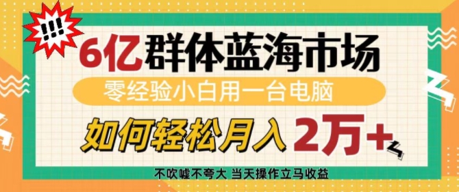 6亿群体蓝海市场，零经验小白用一台电脑，如何轻松月入过w【揭秘】-云创网