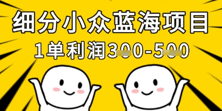 细分小众蓝海项目，一单利润3张，每月收入稳定过1w+-云创网