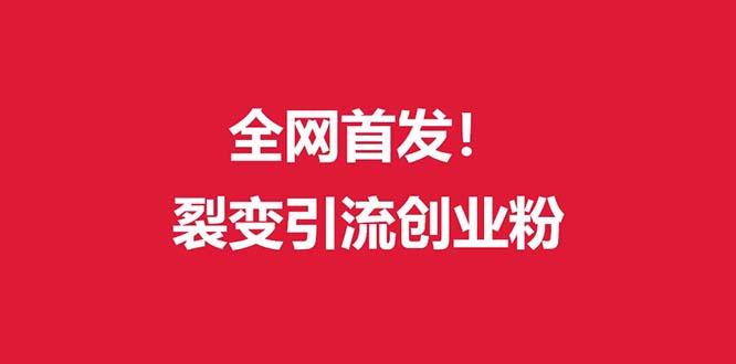 (全网首发)外面收费几千的裂变引流高质量创业粉-云创网