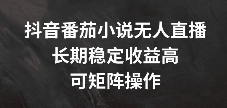 抖音番茄小说无人直播，长期稳定收益高，可矩阵操作【揭秘】-云创网