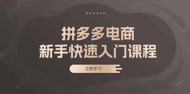 拼多多电商新手快速入门课程：涵盖基础、实战与选款，助力小白轻松上手-云创网