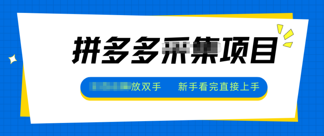 拼多多电商采集，一小时50+，操作简单，零投资-云创网