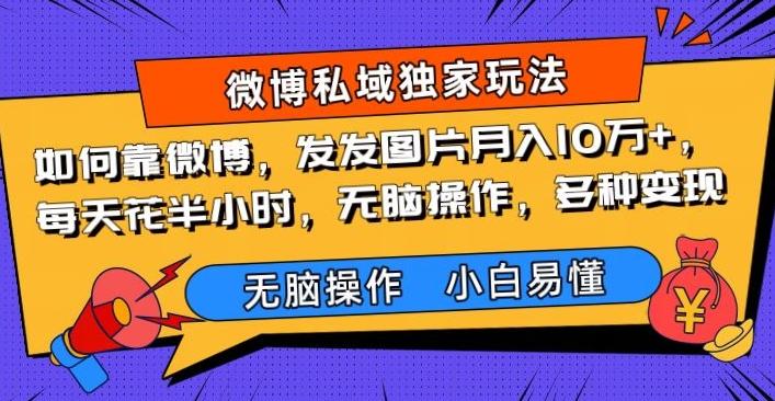 如何靠微博，发发图片月入10万+，‌每天花半小时，无脑操作，多种变现-云创网