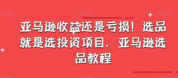 亚马逊收益还是亏损！选品就是选投资项目，亚马逊选品教程-云创网