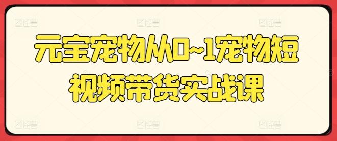元宝宠物从0~1宠物短视频带货实战课-云创网