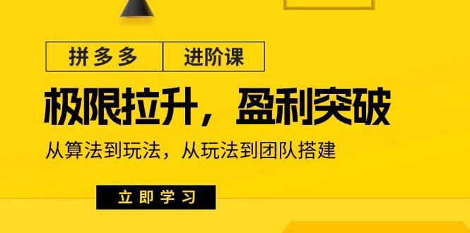 拼多多·进阶课：极限拉升/盈利突破：从算法到玩法 从玩法到团队搭建-18节-云创网