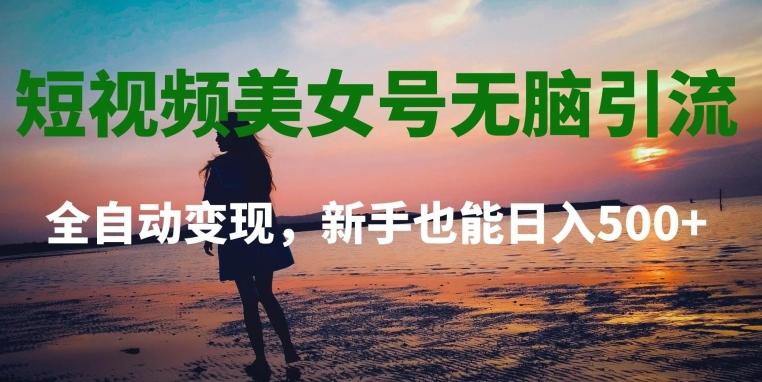 短视频美女号无脑引流，全自动变现，新手也能日入500+-云创网