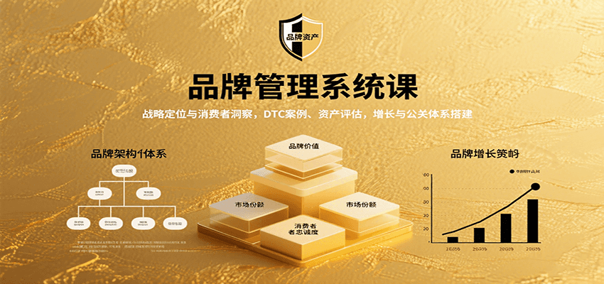 品牌管理系统课：战略定位与消费者洞察，DTC案例、资产评估，增长与公关体系搭建-云创网