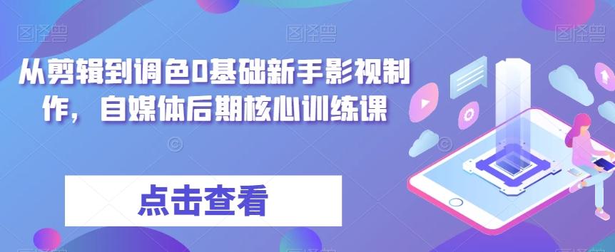 从剪辑到调色0基础新手影视制作，自媒体后期核心训练课-云创网