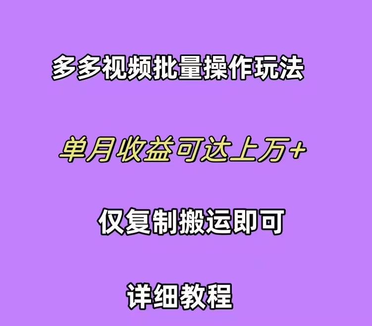 (10029期)拼多多视频带货快速过爆款选品教程 每天轻轻松松赚取三位数佣金 小白必…-云创网
