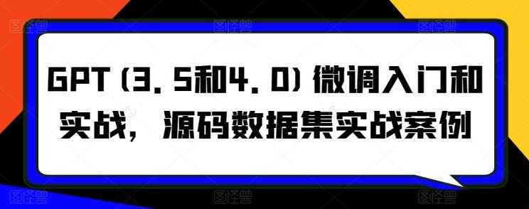 GPT(3.5和4.0)微调入门和实战，源码数据集实战案例-云创网