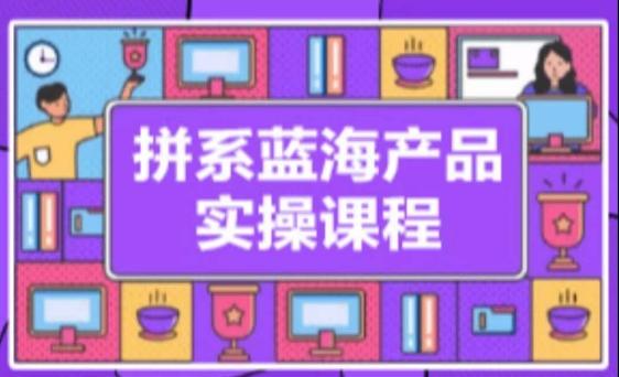 拼系冷门蓝海产品实操课程，从注册店铺到选品上架到流量维护环环相扣-云创网